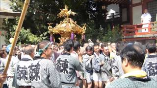 平成27年度 江東区 東大島神社 御祭礼 【 境内 宮入り】