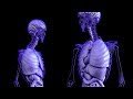 [ASMR] Binaural Facts About the Human Body