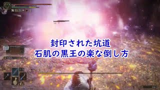 エルデンリング 石肌の黒王の楽な倒し方 封印された坑道Elden Ring Naoking easy defeat Onyx Load