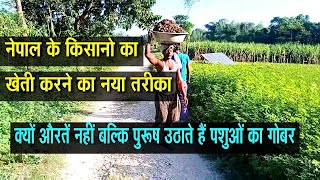 नेपाल में खेती कैसे करते हैं | agriculture in Nepal | nepali agriculture farm #khetkhalihan