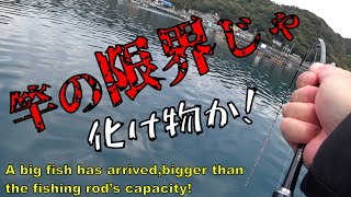 【ダンゴ釣り】竿ブチ折れてもかまわない！マジにヤバいやつ掛けてしもた！