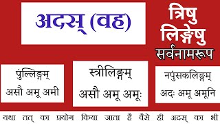 अदस् (वह=तत्) तीनों लिंगों में #सर्वनामरूप || असौ अमू अमी असौ अमू अमूः अदः अमू अमूनि Class 12 adas