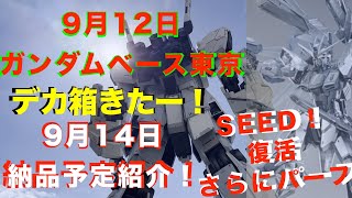 【ガンプラ再販】サプライズでデカ箱復活！限定品もMGが！HG キュベレイなど再販しかし並ばない物もあり！新商品もあるよ2023年9月12日ガンダムベース東京！9月14日納品予定再販紹介！16日新商品！