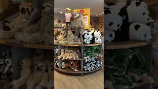 The Atlanta Zoo gift shop!! sorry video was filmed  through fast( they were ready to go 🤣😂😁)