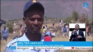 #ቴሌቪዥን_ትግራይ፡ኣባላት ፀጥታ   ከተማ ዓብይ ዓዲ ኣብ  መኸተ ምብራር ዕስለ ኣንበጣን ምእካብ ዝራእቲን