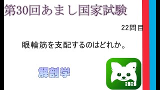 第30回あまし国家試験第22問目解剖学