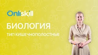 БИОЛОГИЯ 7 класс :  Тип Кишечнополостные | Видеоурок