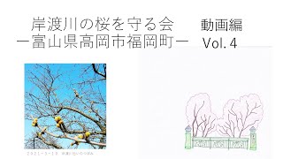 岸渡川の桜並木を歩いてみたー高岡市福岡町ー　動画Vol.4　　＠岸渡川の桜を守る会