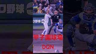 阪神甲子園球場DQN客現れる#shorts #DQN＃甲子園＃阪神ファン＃邪魔