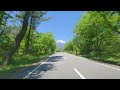 driving in japan mt. fuji skyline driving at the foot of beautiful fresh green of mount fuji