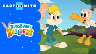 Construindo o Ninho | Perninha em Obras | Cartoonito