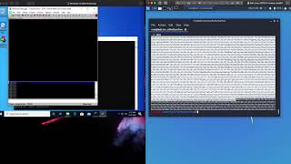 Step2 Simple Buffer Overflow - Find the Offset