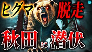 【検証】秋田八幡平クマ牧場事件｜行方不明のヒグマは実在するのか