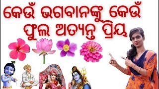 କେଉଁ ଭଗବାନଙ୍କୁ କେଉଁ ଫୁଲ ଅତ୍ୟନ୍ତ ପ୍ରିୟ  || #madhutips ||