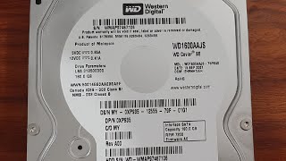 Western Digital Caviar SE WD1600AAJS - Hard Drive Spin Up