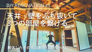 DIY #5｜平屋の天井抜く＆垂れ壁撤去｜解体作業中に吊戸棚が頭に落下！