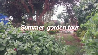 VLOGMAS  EP10 | December garden tour | Last December garden tour 2024 #12daysofvlogmas