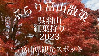 呉羽山紅葉狩り【ぶらり富山散策／北陸】2023富山県観光スポット