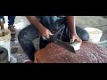 live fish cutting in vaadi harbour kollam