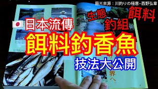 香魚不用友釣?! 日本流傳「餌料釣香魚」技法大公開【Tsurihuang聊釣技】#香魚 #アユ #鮎 #溪流 #友釣