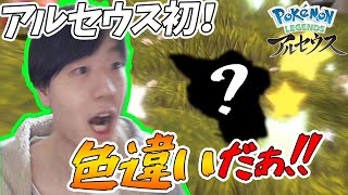 【アルセウス】偶然色違いゲット！確率を越え、たまたま自然遭遇した初色違いはこいつだ！リアクションをお届け【ポケモンレジェンズアルセウス】Pokémon Legends アルセウス　しろーん　色違い厳選