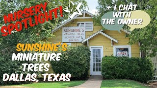 57: Plant Nursery Spotlight: 51 Year Old Sunshine’s Miniature Trees! | Dallas, Texas