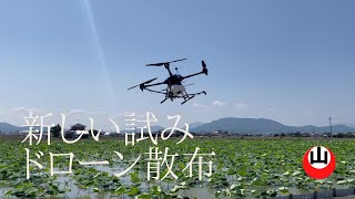 【新しい試み】ドローンによる製品散布　New Solution