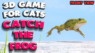 3D game for cats | CATCH THE FROG (front view) | 4K, 60 fps, stereo sound