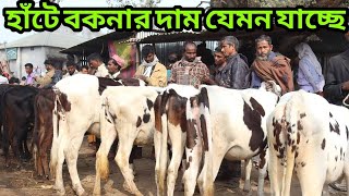 তালগাছি হাঁটে বকনা বাচ্চার দাম জানুন। হাটে বকনার যেমন দাম যাচ্ছে। কম দামে ভালো বকনা পাবেন যে হাঁটে