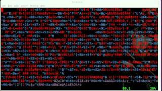 Self Extracting Shell Script Part#1 - BASH - LINUX