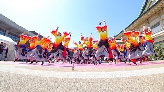 同志社大学 京都よさこい連 心粋　さくよさ 2018 ロームシアター(広角)