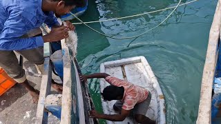 நம்ம புது போட்டோல வலை இழுக்கற இடத்துல பைபர் ஒட்டும், New Boat Net fishing