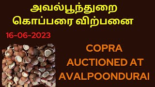 Copra Auctioned At Avalpoondurai On 16/06/2023 | அவல்பூந்துறை | சரிவில் கொப்பரை சந்தை  | AQSE Agri