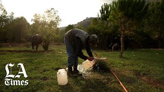 Massive proposed dam project could displace thousands in Lebanon