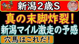 新潟2歳ステークス2023年の穴馬予想！新潟の長い直線でこの末脚は魅力的です