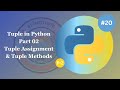 Tuple in Python - Tuple Assignment & Tuple Methods - Python Basics for Beginners #20 Part 02