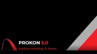 Surface Meshing In Sumo