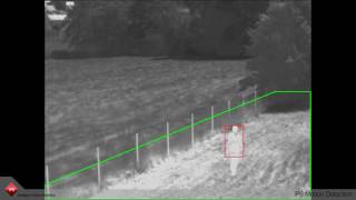 IPS Motion Detection
