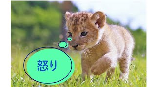 【天鳳 実況1079】おじさん×†白兎†×四六七×すれいか