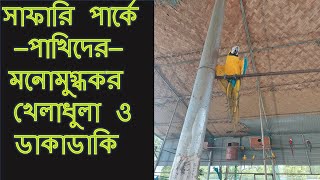 সাফারি পার্কে - পাখিদের মনোমুগ্ধকর শব্দে নিজেকে নিমজ্জিত করুন | Swinging_By_Life(Enjoy Your Life)