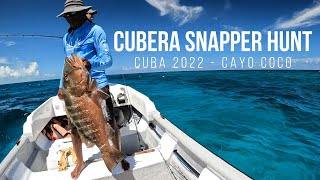 Cubera Snapper Hunt - Fishing Cuba 2022 - Melia Cayo Coco - New Beach Restaurant - Ft. \