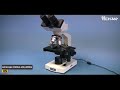 top 5 best digital microscopes for biology 2024