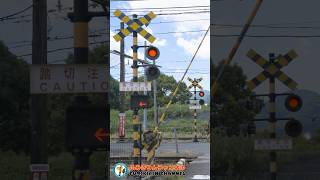 【踏切 電車】なにが通るかな？？？【ふみきりショート動画94】  #shorts