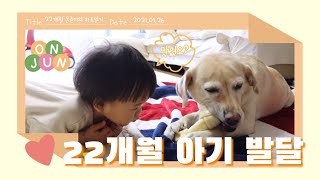 육아 브이로그 :) 22개월 아기의 발달 하루 일기 feat.가을 | 22개월 아기