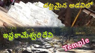 దట్టమైన అడవిలో ఇష్టకామేశ్వరి దేవి Temple🙏 IstakameSwari Devi Temple#srisailam #istakameswari#temple