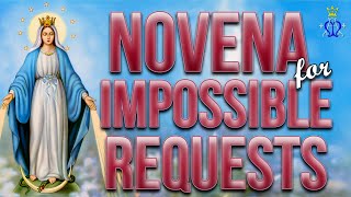 🙏 Echoes of Hope: Novena for Impossible Requests