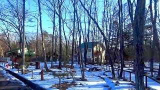 日本輕井澤1130溫泉飯店外頭雪景 Karuizawa (Japan)