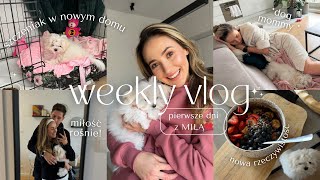 🌷 Vlog - 🐶 Pierwsze dni ze szczeniakiem w domu ❤️ nowa rzeczywistość 🙈