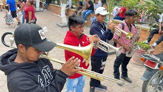 🔴Mix De Sones Carnavaleros Con la Banda Santa Rosa de Lima 🔥🤠 | Pura Chingoneria🔥⚡️ | Alcozauca