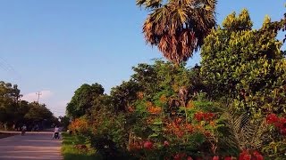 កោះក្របី Koh Krorbey, Kandal, Cambodia